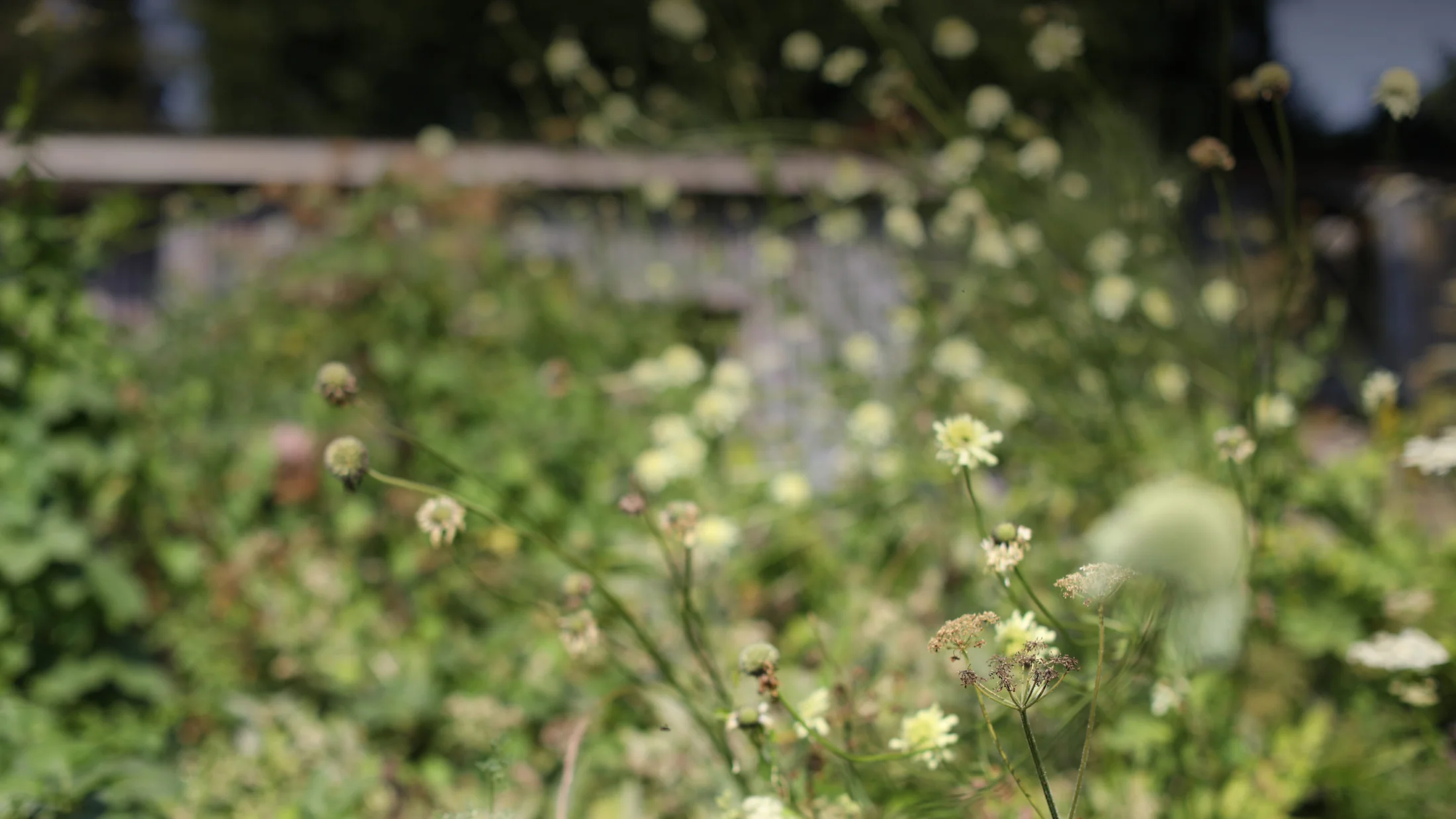 British Scented Body and Home
